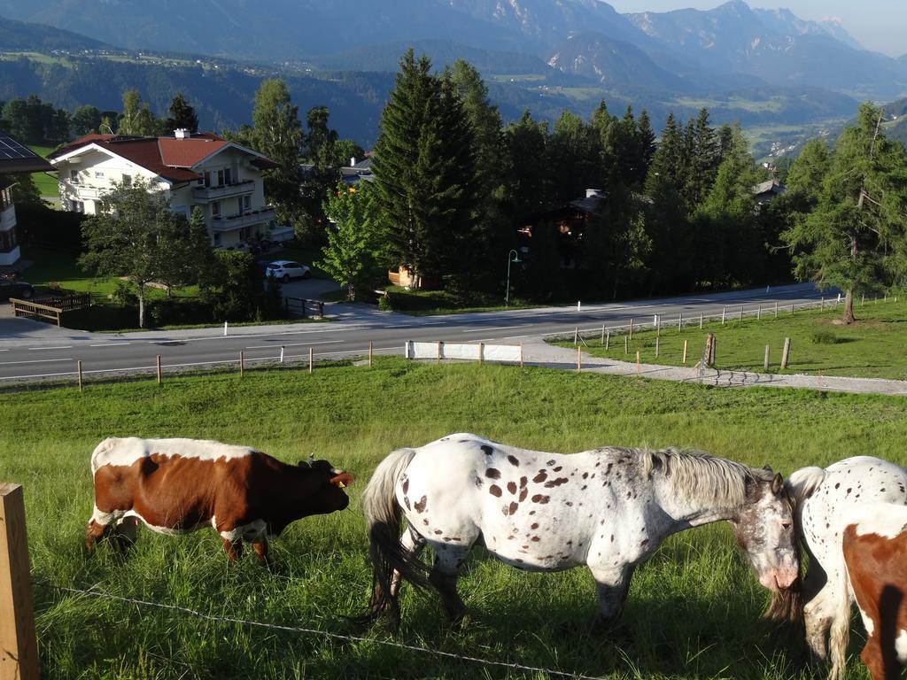 Holiday home Haus Alpina In & Out