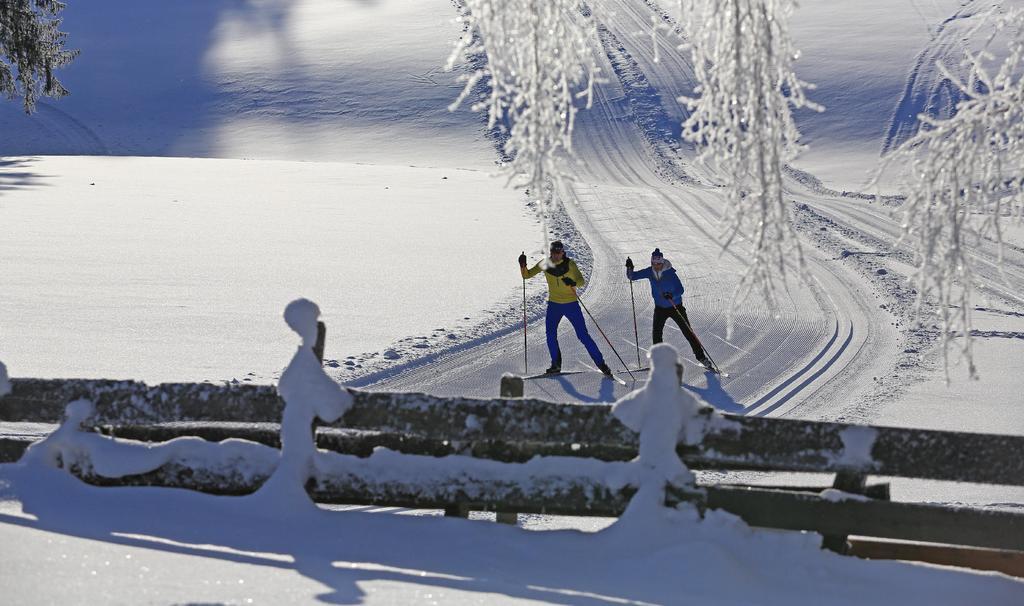 Ferienhaus Haus Alpina In&ski Out Schladming