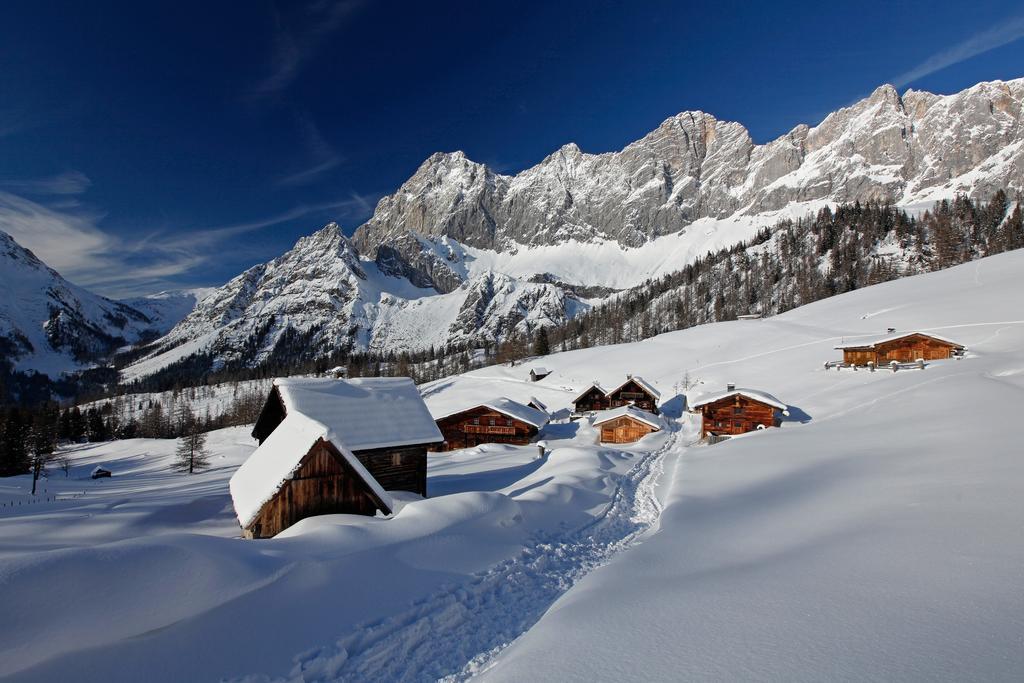 Ferienhaus Haus Alpina In&ski Out *