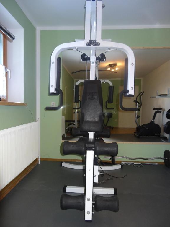 Haus Alpina In&ski Out Ferienhaus Schladming