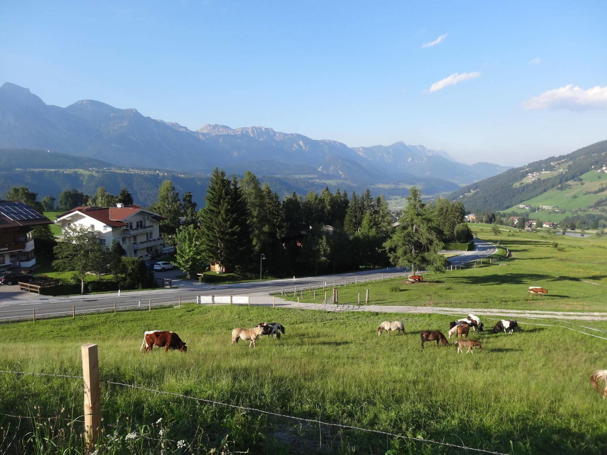 Ferienhaus Haus Alpina In&ski Out Schladming