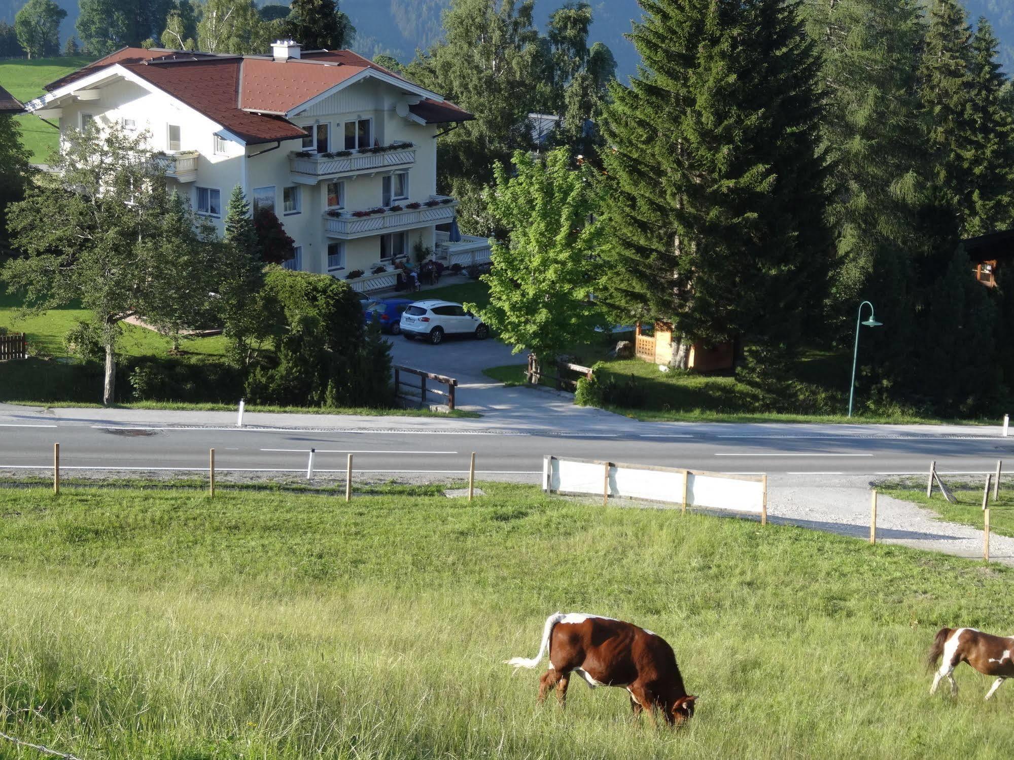 Ferienhaus Haus Alpina In&ski Out Schladming