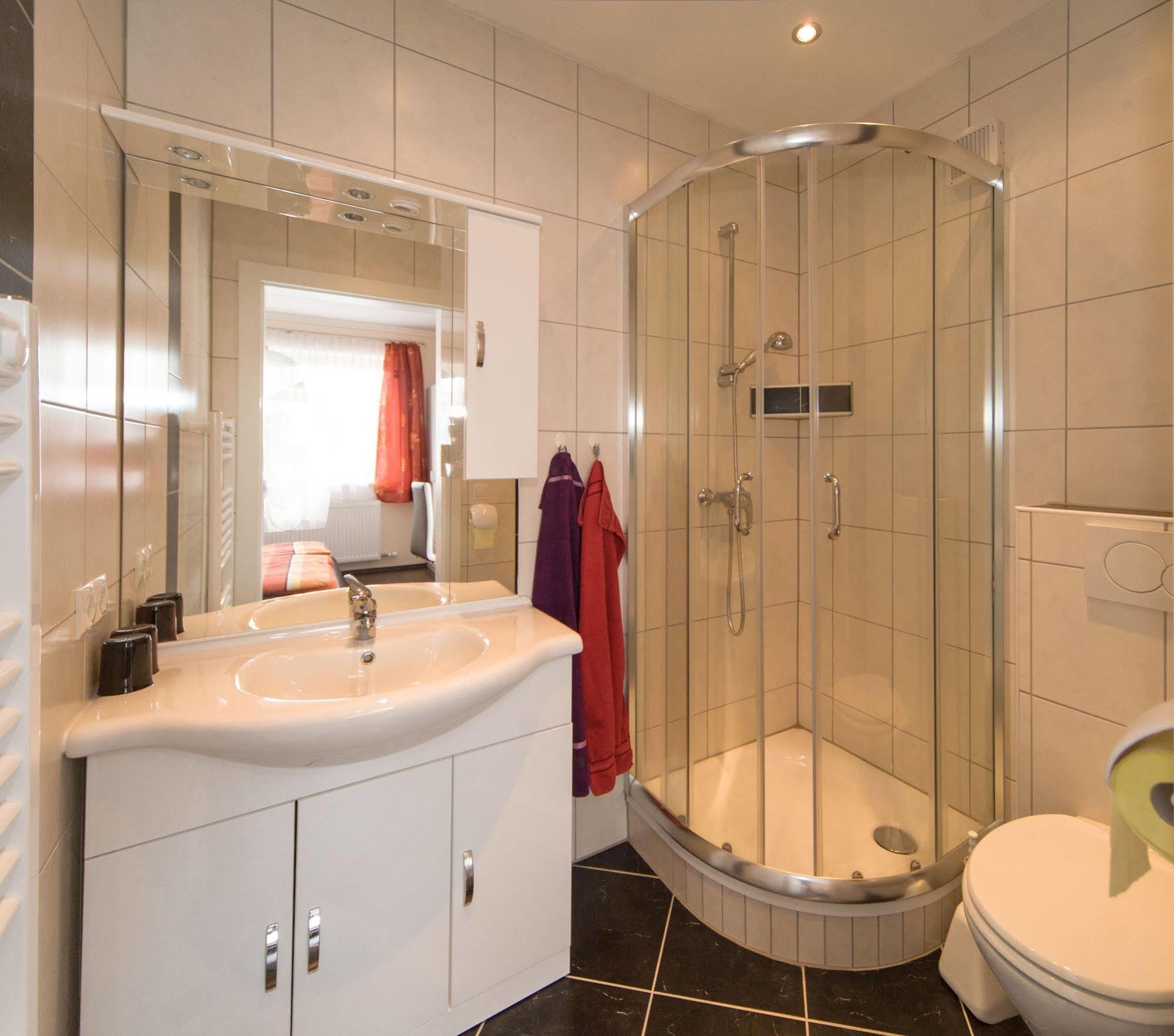 Haus Alpina In&ski Out Ferienhaus Schladming